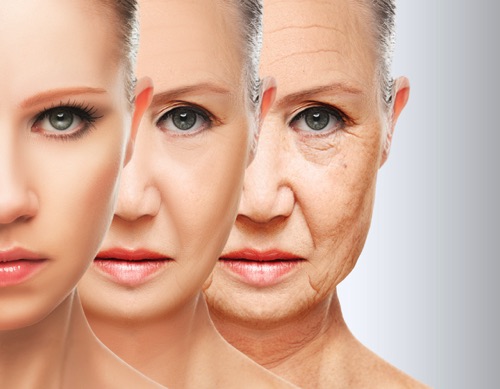 加齢によってシワやシミが増えている女性の顔が並んでいる画像