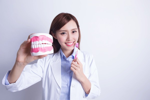 歯と歯茎の模型を持った女性医師