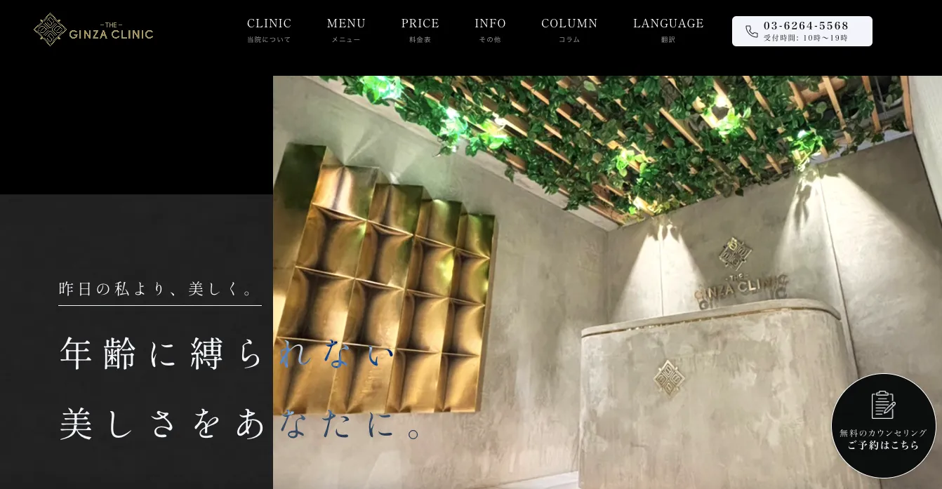 THE GINZA CLINIC